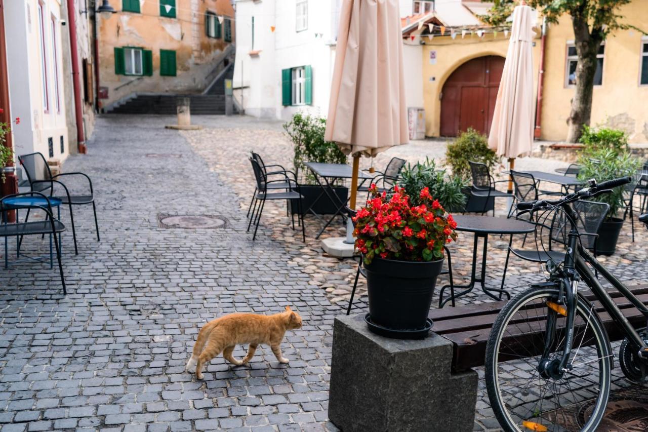 Charming Studio Ideal For Getaways Or Workations In Sibiu'S Medieval City Center Экстерьер фото